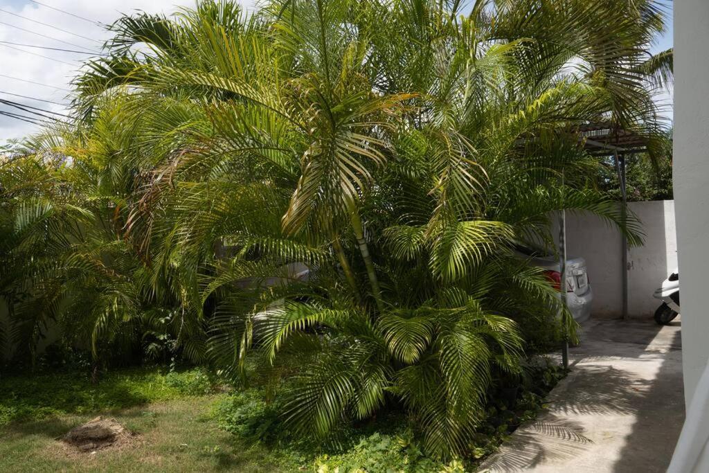 Villa Caribe Байяибе Экстерьер фото